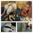 NENA